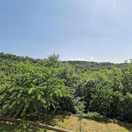 Appartement 2 Ou 4 Personnes. Venaco Venaco  Buitenkant foto